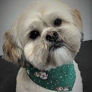 Meet your Posher, Anne